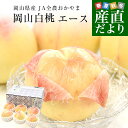 岡山県 JA全農おかやま 岡山白桃 等級:エース 約1.7キロ(6玉)送料無料 もも モモ はくとう ピーチ ギフト 夏ギフト お中元 御中元