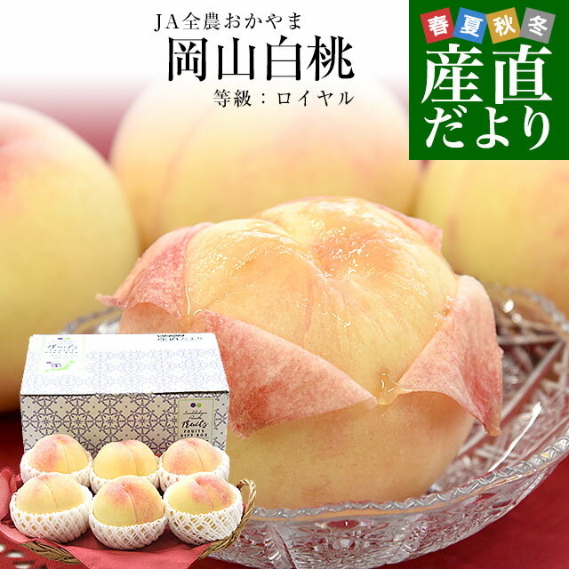 岡山県 JA全農おかやま 岡山白桃 等級:ロイヤル 約1.7キロ(6玉)送料無料 もも モモ はくとう ピーチ ギフト 夏ギフト お中元 御中元