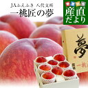 桃 山梨県より産地直送 JAふえふき八代支所 八代の桃 超特選 一桃匠の夢 3キロ (7玉から9玉) 送料無料 富士の国やまなしの逸品農産物 笛吹 もも モモ