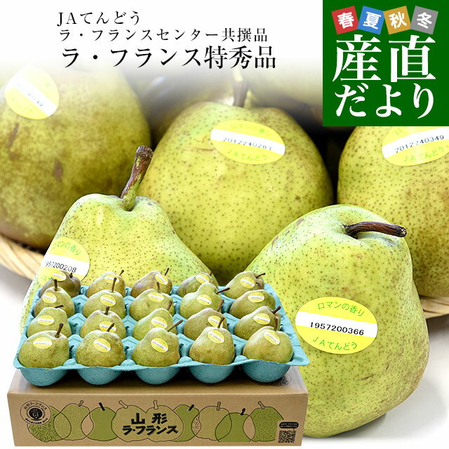 山形より産地直送 ラ・フランスセンター共撰品 ラ・フランス 特秀品 約5キロ(16玉から20玉入り) 3Lから..