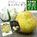 【お歳暮 ギフト】山形県から産地直送 JAてんどう スーパーラフ 約3キロ 4Lから2Lサイズ(8玉から10玉入り) 送料無料 洋梨 ラフランス ギフト