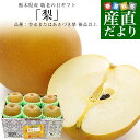 【敬老の日】栃木県産 「梨」品種:豊水またはあきづき梨 優品 1.8キロ以上 (5玉から6玉入り) 送料無料 なし ナシ 敬老の日ギフト