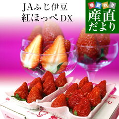 https://thumbnail.image.rakuten.co.jp/@0_mall/sanchokudayori/cabinet/fruits14/strw36_0.jpg