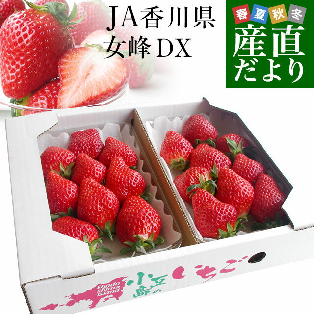 JA香川県より産地直送 女峰いちご DXタイプ 460g (230g×2P：6粒から14粒×2P) 送料無料 イチゴ 苺 讃岐※クール便のサムネイル