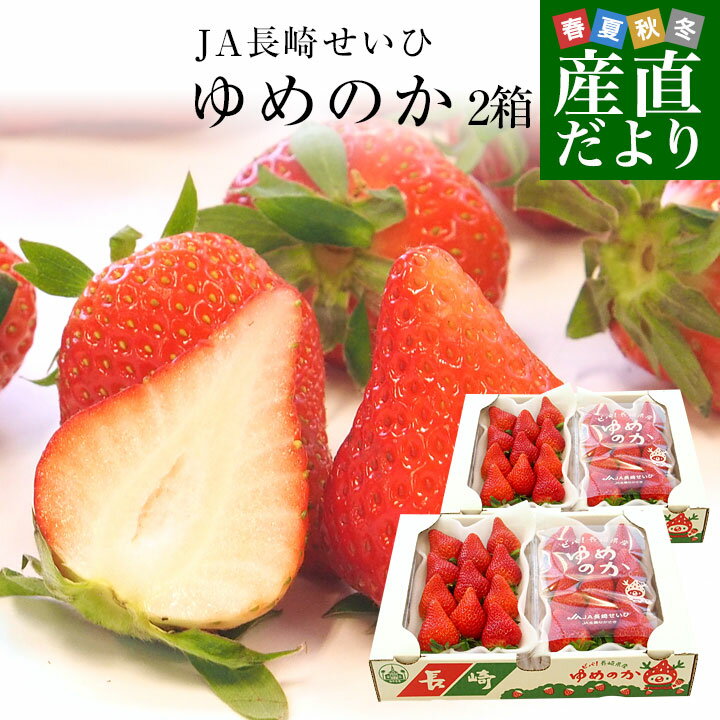 長崎県より産地直送 JA長崎せいひ 期待の新品種いちご ゆめのか 約500g × 2箱セット ((250g×2P)×2箱) (合計18から30粒入り×2箱) 送料無料イチゴ 苺のサムネイル