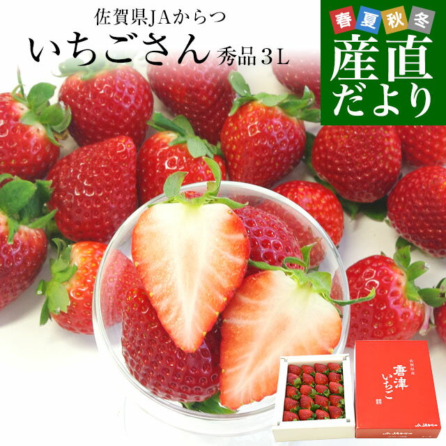 送料無料 佐賀県より産地直送 JAからつ 新品種いちご いちごさん 秀品 3Lサイズ 500g化粧箱 20粒から24粒 イチゴサン イチゴさん いちごサン 唐津 うまかもんのサムネイル