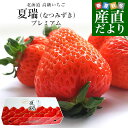 北海道より産地直送 高級いちご 夏瑞(なつみずき)プレミアム 約200g(5粒)×2パック 化粧箱入り イチゴ 苺 夏イチゴ