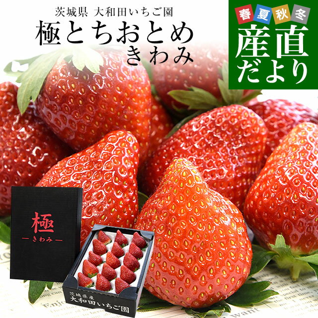 茨城県産 大和田いちご園の極（きわみ）とちおとめ 1箱 300g以上（15粒から18粒）送料無料 いちご イチゴ 苺 栃乙女 市場発送