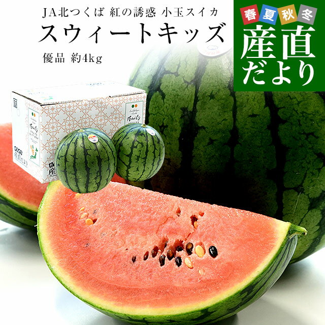 楽天産直だより茨城県 JA北つくば 紅の誘惑 小玉スイカ 「スウィートキッズ」 優品 大玉2Lサイズ 計4キロ（約2キロ×2玉） 送料無料 すいか 西瓜 べにのゆうわく スイートキッズ 市場発送