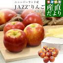 ニュージーランド産 JAZZりんご(品種:サイフレッシュ) 約2.6キロ(12玉から13玉入) 送料無料 リンゴ 林檎 ジャズりんご クール便 市場発送