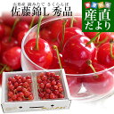 山形県より産地直送 さくらんぼ佐藤錦 大粒Lサイズ 秀品1キロ (500g×2P入) 送料無料 クール便 サクランボ 桜桃