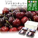 アメリカ産 アメリカンチェリー 大粒10Rから10.5Rサイズ 約800g(約200g×4パック) 送料無料 チェリー サクランボ 桜桃
