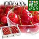 山形県より産地直送 さくらんぼ佐藤錦 Mサイズ 秀品1キロ (500g×2P入) 送料無料 クール便 サクランボ 桜桃