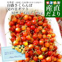父の日ギフト 山形県より産地直送 品種おまかせ さくらんぼ 超盛1.2キロ ○秀品 Mサイズ以上 300g×4パック 合計1.2キロ 桜桃 送料無料 クール便 ...