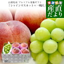 山梨県産 プレミアム果物ギフト「シャインマスカット×一桃匠」 送料無料 フルーツ詰め合わせ もも ぶどう ハウスぶどう ギフト 夏ギフト お中元 御中元