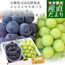 【敬老の日ギフト】山梨県又は長野県産 シャインマスカット(約500g)&種なしピオーネ(約450g) 極上・秀品 各1房入り 合計950g以上 送料無料 ブドウ...