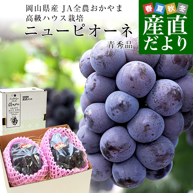岡山県産JA全農おかやま高級ハウス...