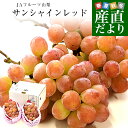 山梨県産 JAフルーツ山梨 サンシャインレッド 約1キロ(2房) 送料無料 種無しぶどう 赤ブドウ