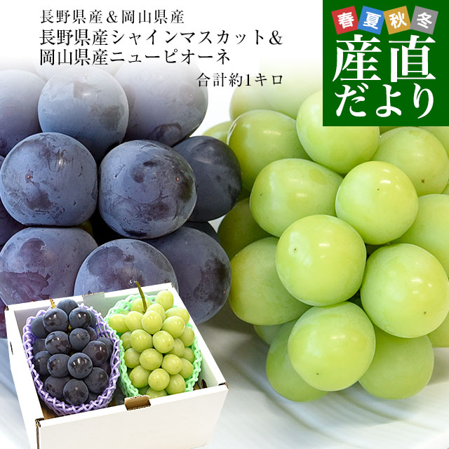 葡萄好き様専用 葡萄好き様専用