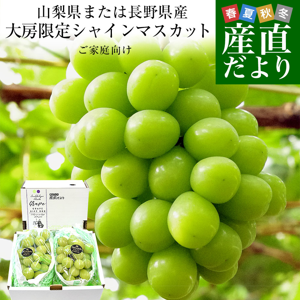 【ダイヤモンド・プラチナ会員限定クーポン配布中】山梨県または長野県産 大房シャインマスカット ご家庭向け・赤秀品以上 1.1キロから1.2キロ（大2房）3,980円～ 送料無料 ぶどう ブドウ 種なしぶどう 葡萄 ※クール便