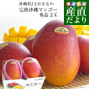 沖縄県産 JAおきなわ 完熟沖縄マンゴー 秀品 2Lから3Lサイズ×2玉 合計700g (約350g×2玉) 送料無料 まんごー アップルマンゴー ギフト 夏ギフト お中元 御中元