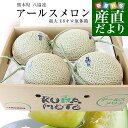 熊本県から産地直送 八協連 アールスメロン 超大玉8キロ原体箱(4玉入)送料無料 マスクメロン メロン 春メロン