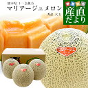 熊本県から産地直送 十一会組合 マリアージュメロン 秀品 大玉3Lから4Lサイズ 約5キロ(3玉から4玉)送料無料 赤肉メロン 春メロン めろん