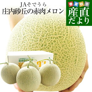 山形県より産地直送 JAそでうら 庄内砂丘の赤肉メロン 大玉サイズ 4玉から5玉 約8キロ 送料無料 メロン めろん