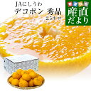 愛媛県 JAにしうわ デコポン 秀品 約2.5キロ 3LからLサイズ(9玉から12玉)でこぽん 柑橘 オレンジ 西宇和 八幡浜