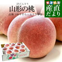 山形県から産地直送 JAてんどう 山形の桃 晩成品種 (品種:ゆうぞら・玉うさぎ他) 秀品 約3キロ (8玉から12玉) 送料無料 桃 モモ もも