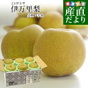 佐賀県産 JA伊万里 伊万里梨(幸水)約2キロ (大玉6玉)送料無料 梨 なし 和なし
