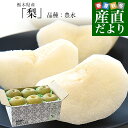 栃木県産 「梨」 品種:豊水 約2キロ (5玉から6玉) 送料無料 なし ナシ 豊水梨 ほうすい