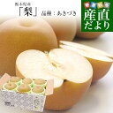 栃木県産 「梨」 品種:あきづき 約2キロ (5玉から6玉) 送料無料 なし ナシ あきづき梨 秋月