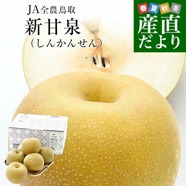 鳥取県産 JA全農鳥取 新甘泉梨 約1.8キロ（5玉から6玉入り）送料無料 しんかんせんなし 梨 ナシのサムネイル