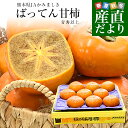 熊本県から産地直送 JAかみましき ばってん甘柿 青秀以上 大玉5Lから6Lサイズ 約3キロ(9玉から10玉)送料無料 柿 かき 種なし柿 種無し柿