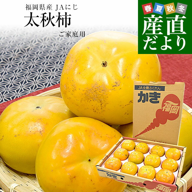 福岡県産JAにじ太秋柿ご家庭用Lか...