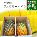 沖縄県より産地直送 JAおきなわ ジュワリーパイン2LからLサイズ2玉 (合計約2キロ) 沖縄パイン パイナップル 送料無料 クール便