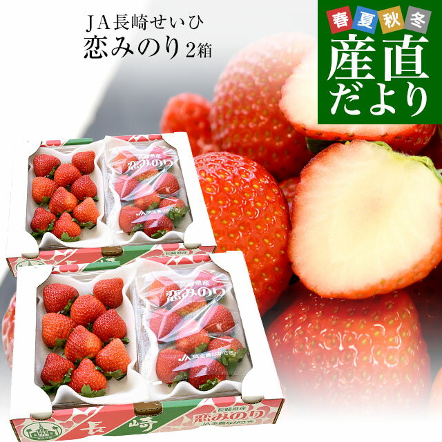 長崎県より産地直送 JA長崎せいひ 期待の新品種いちご「恋みのり」 2箱セット　約1000g（500g×2箱）（合計36粒から60粒入り） 送料無料 苺 イチゴ こいみのりのサムネイル