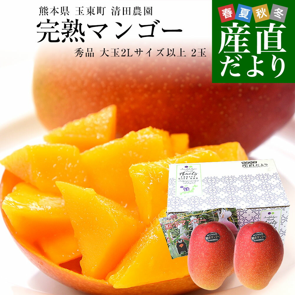 楽天市場】熊本（マンゴー｜フルーツ・果物）：食品の通販