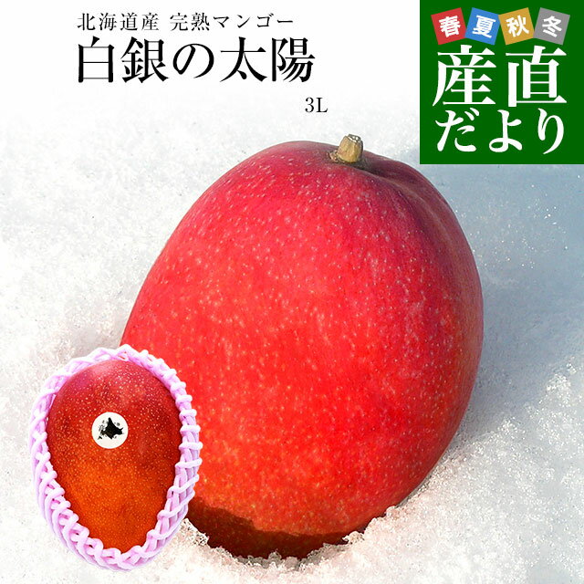 北海道産 完熟マンゴー「白銀の太陽」3Lサイズ1玉（450gから509g）まんごー 送料無料