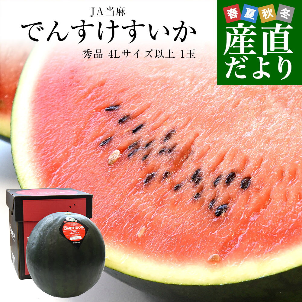 専用 でんすけすいか 太陽の王様 でんすけすいか 通販