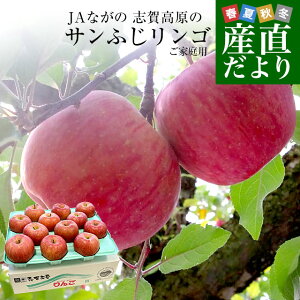 長野県より産地直送　JAながの　志賀高原のサンふじリンゴ　ご家庭用　約5キロ　(12玉から20玉)　送料無料 林檎　りんご　リンゴ