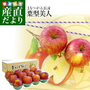 送料無料 青森県より産地直送 JAつがる弘前 プレミアムサン...