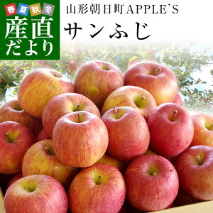 山形県より産地直送 山形朝日町APPLE’S サンふじりんご（ご家庭用・訳あり品） 9キロから10キロ 林檎 リンゴ 送料無料 御歳暮 お歳暮 ギフト