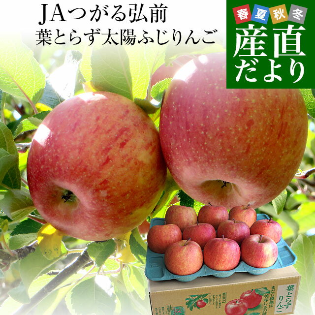 糖度13度以上！毎年4万箱！葉とらず太陽ふじ青森県から産地直送 JAつ...