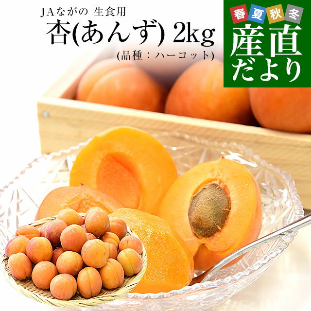 長野県産 JAながの 生食用「杏(あんず)」(品種：ハーコット) 秀品 Lサイズ以上 約2キロ(4パック入り) 送料無料 アプリコット 杏子 クール便