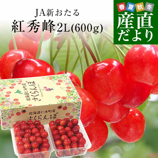 北海道から産地直送 JA新おたる 仁木町のさくらんぼ（紅秀峰） 秀品 2Lサイズ 600g（300g×2パック入） 送料無料 サクランボ ※クール便のサムネイル