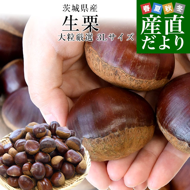 茨城県 生栗 1.8キロ 3Lサイズ 送料無料 大粒栗 和栗 くり マロン 市場発送 クール便のサムネイル
