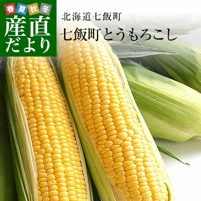北海道七飯町産 朝どりトウモロコシ Lサイズ 350g×10本 (ゴールドラッシュ他) とうもろこし ※クール便のサムネイル