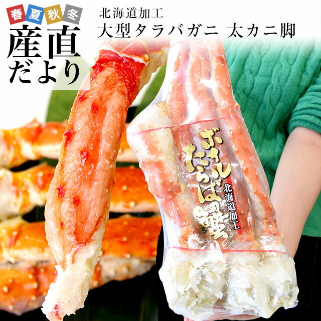 【期間限定価格】北海道より直送 北海道加工 大型 タラバガニ 太脚 特5Lサイズ 900g 送料無料　カニ タラバガニ タラバ タラバ蟹 たらば たらば蟹 かに足 蟹足 ギフトのサムネイル